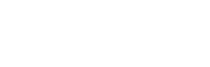 Wiredberry
